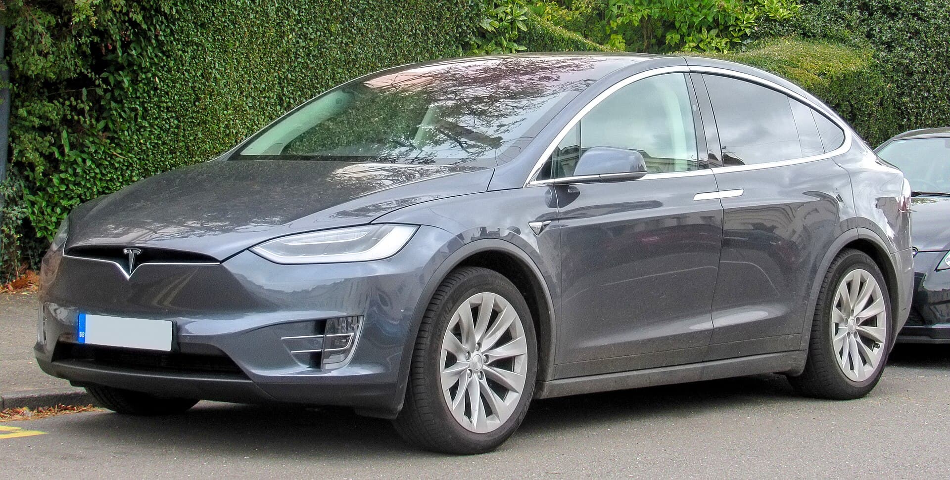 2016 Tesla Model X in Lidcombe